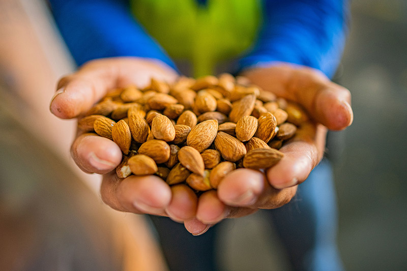 Agriculture Brand Photography