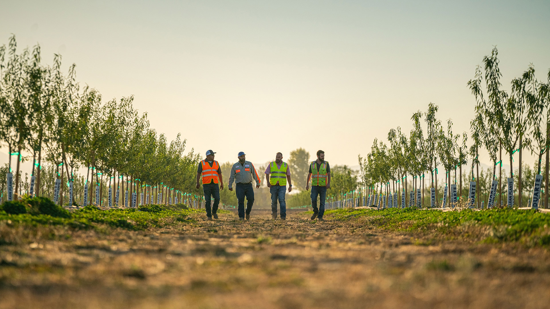 Agriculture Brand Photography